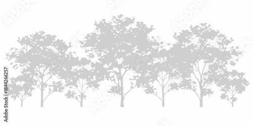 A silhouette of several trees with dense foliage against a white background
