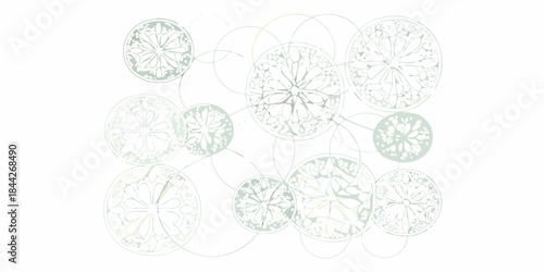 Abstract floral arrangement of pale green oval shapes and connecting lines