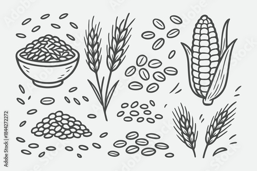 Hand-Drawn Grain and Cereal Ingredients — Organic Black and White Sketch Vector Set