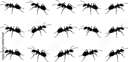 PrintAnt silhouette collection, insect vector illustration, black outline icon, bug graphic design, entomology study sketch, nature wildlife creature symbol