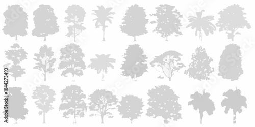 Collection of diverse tree silhouettes in varying shapes and sizes displayed neatly