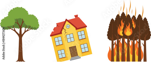 Environmental disaster illustration set featuring healthy tree, burning forest fire