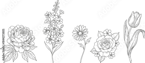 PrintElegant Botanical Line Art Set, Hand-Drawn Peony, Delphinium, Daisy, Rose, and Tulip Collection, Minimalist Floral Engraving Style Vector Illustration, Black and White.