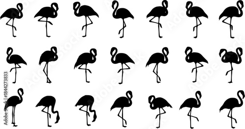 Flamingo silhouettes, Flamingo bird silhouette, Flamingo, Flamingo vector illustration, Flamingo clipart, Flamingo bird icon set