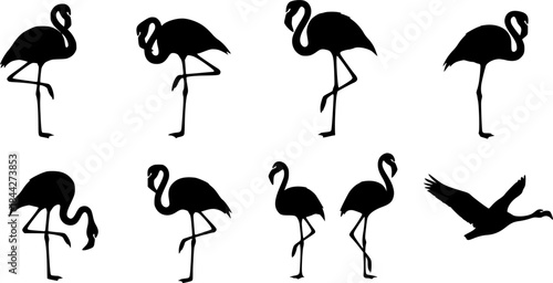 Flamingo silhouettes, Flamingo bird silhouette, Flamingo, Flamingo vector illustration, Flamingo clipart, Flamingo bird icon set