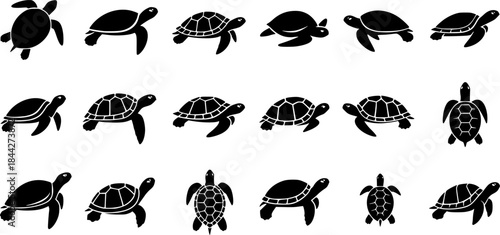 Turtle silhouette, Sea turtle silhouettes, Turtle, Turtle icon set, Turtle clipart, Underwater animal set