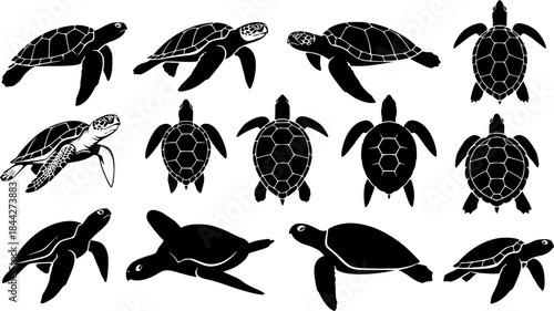 Turtle silhouette, Sea turtle silhouettes, Turtle, Turtle icon set, Turtle clipart, Underwater animal set