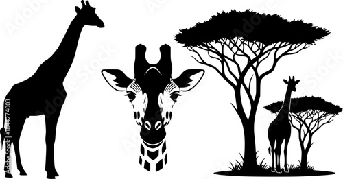 Giraffe silhouette, Giraffe, Giraffe silhouettes, Giraffe vector illustration, Giraffe clipart set