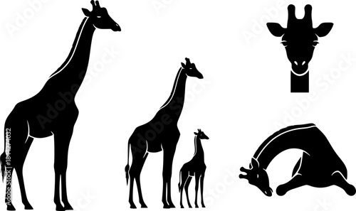 Giraffe silhouette, Giraffe, Giraffe silhouettes, Giraffe vector illustration, Giraffe clipart set