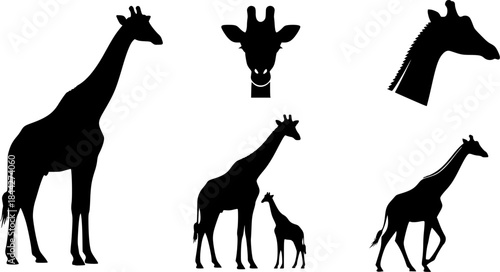Giraffe silhouette, Giraffe, Giraffe silhouettes, Giraffe vector illustration, Giraffe clipart set