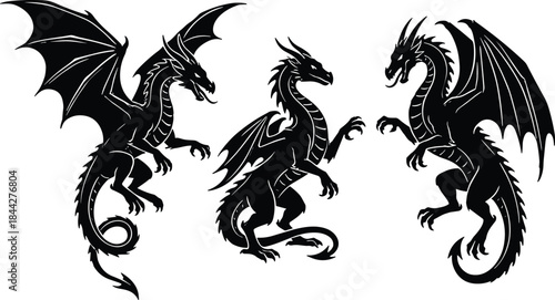Fantasy dragon silhouette illustration set with flying and standing poses in black style for myth, game and tattoo design projects