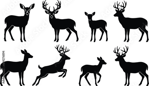 Deer and stag silhouette illustration set with bucks and does in various poses for wildlife, forest and nature design projects