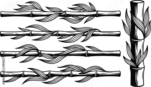 Hand drawn bamboo branches illustration set with leaves in black ink style for nature, eco and botanical design projects
