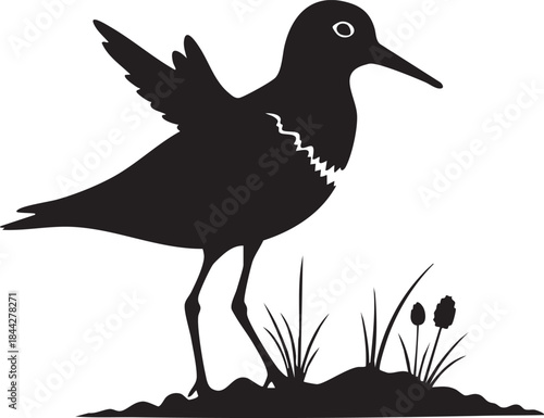Silhouette of a bird standing on a small patch of grass with flowers and plants