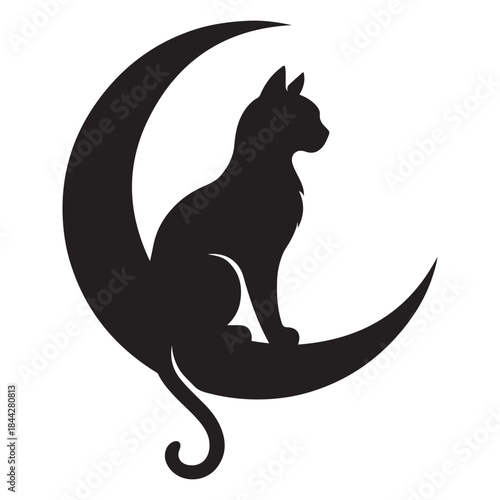 Silhouette black of graceful cat sitting on crescent moon vector illustration
