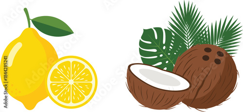 Vector illustration of fresh lemons and tropical coconuts with sliced fruit and lush green leaves for natural food and summer themes.