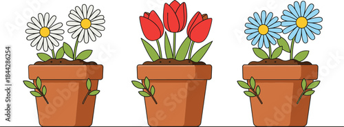 Vector illustration of potted flowers including daisies and tulips in clay pots, representing gardening, home decor, and floral decoration.