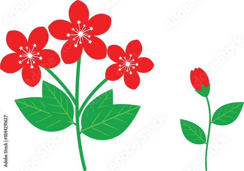 Bright red flower illustration with blooming petals and green leaves, simple floral vector design perfect for decorations and botanical artwork