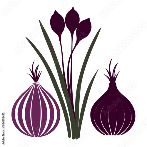 silhouette of chives garlic allium tuberosum
