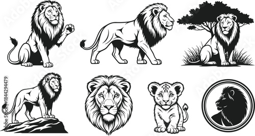Mighty African Lion Vector Illustration Collection, King of the Jungle Set: Detailed Engraving Style, Cub, Head Portrait, Wildlife Safari, Strength Symbolism, Isolated Artwork