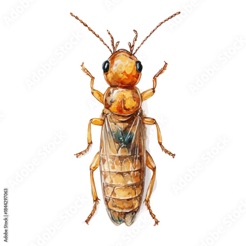 Termite in watercolor style, vector illustration, isolated on white background.