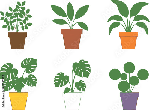 Minimal potted houseplant illustration set featuring leafy indoor greens including monstera, pilea, and decorative foliage, perfect for botanical, home decor, and modern vector design projects.