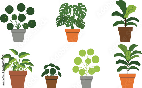 Modern potted houseplant illustration set featuring monstera, pilea, fiddle leaf fig, and leafy indoor greenery perfect for botanical, home decor, and vector design projects.