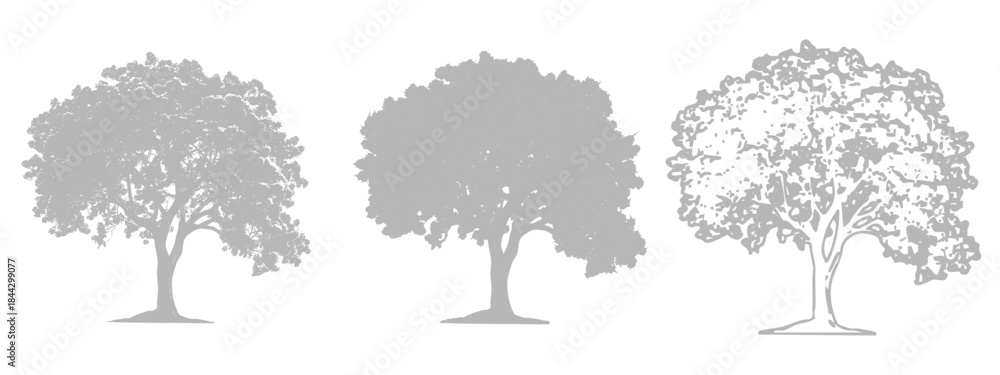 Fototapeta premium Gray Tree Silhouette Set with Natural Foliage Vector
