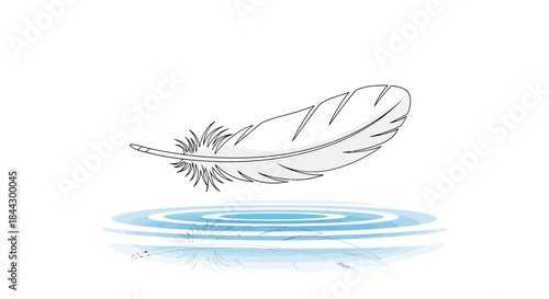 Delicate feather illustration floating above the water with serene ripple effect background