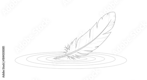 A delicate feather sketch rests on rippling water surface creating a serene and peaceful