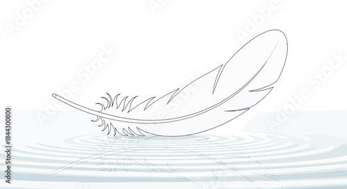 Simple minimalist graphic illustration of a feather gently resting on water surface