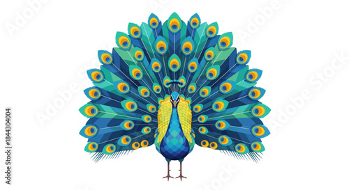 Captivating peacock illustration presenting vibrant plumage against a plain background