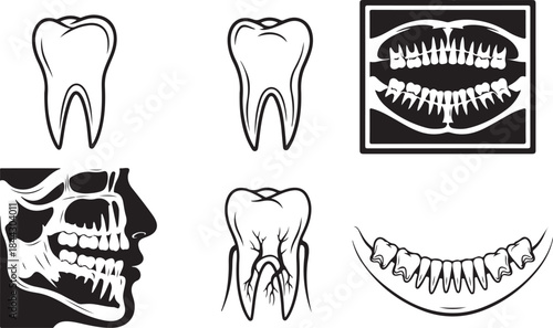 Dental health and anatomy icons including teeth and X-rays Keywords: tooth molar dental x-ray jawbone skull profile mandible teeth roots nerves