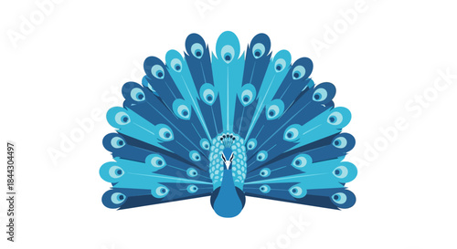 Elegant peacock illustration with vibrant blue hues and elaborate feather display representing