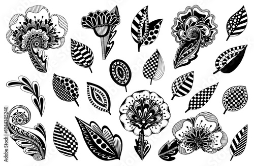 Abstract flowers and leaves set. Hand drawn sketch vector. Flora, botany. Fabulous plants. Branch, leaf, blooming bud. Summertime. Line art illustration. Collection of elements.