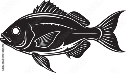 Stylized black silhouette of a fish with detailed fins and scales Keywords: fish silhouette aquatic animal marine life swimming scales fins tail