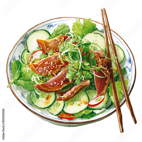 Watercolor painting of Peking Duck Salad, vector illustration, isolated on white background.