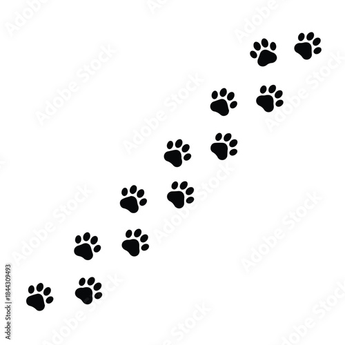 A diagonal trail of black paw prints with toe pads and a larger heel pad against a stark white background.