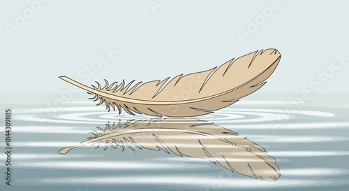 Feathered Reflection: A serene illustration capturing lightness and peacefulness with reflections