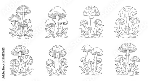 A collection of eight detailed mushroom clusters illustrated in a fine, hand-drawn, black and white line art or engraving style.
