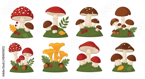 A charming collection of various types of forest mushrooms, including fly agaric, chanterelle, and porcini, in a cute cartoon style.