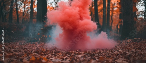 Wallpaper Mural Dramatic red smoke plume bursts from the autumn forest floor covered in fallen leaves, creating a vibrant contrast against the dark trees. Torontodigital.ca