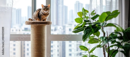 Wallpaper Mural Domestic Tabby Cat with Green Eyes Sitting on a Sisal Scratching Post by a Bright Window, Overlooking a Modern Cityscape Torontodigital.ca