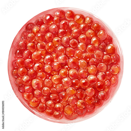 Caviar, watercolor painting, vector illustration, isolated on a white background.