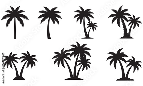 Collection of Black Silhouette Palm Trees on White Background