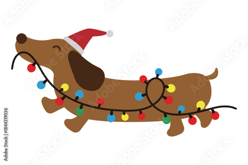 Playful Dachshund Dog Wrapped in Colorful Christmas Lights