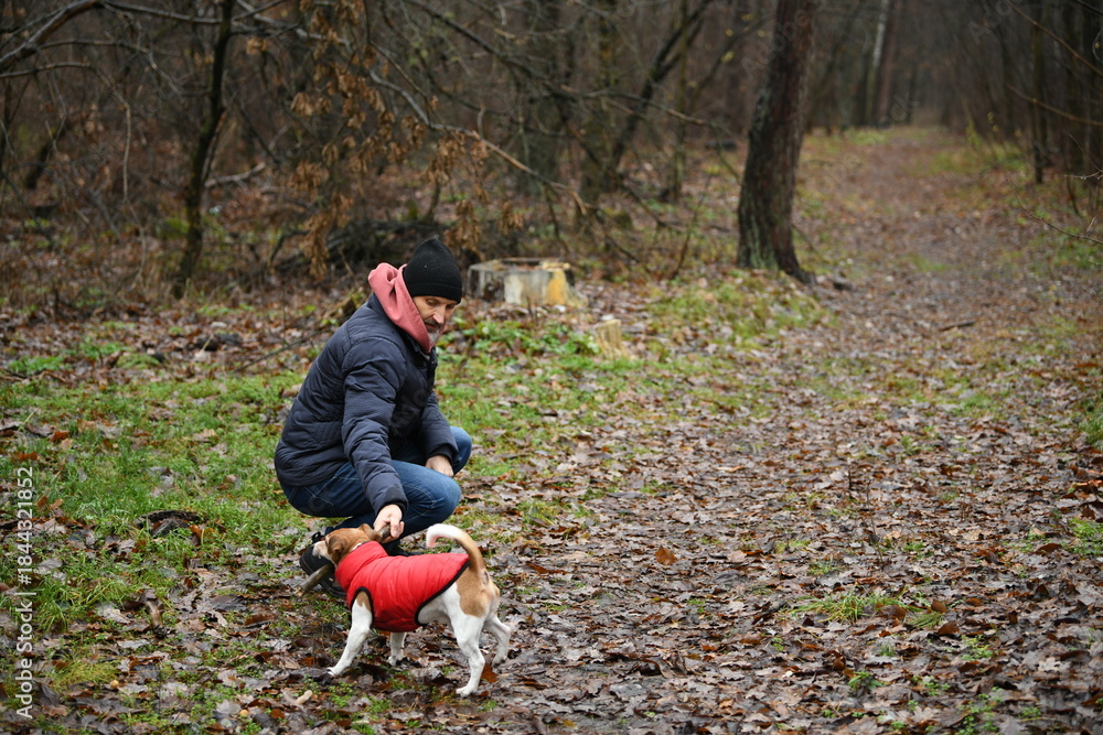 Ταπετσαρία Man enjoys a walk with his dog on a muddy trail in a quiet forest during a cool,