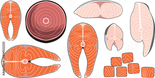 Set of Various Dry Fruits and Nuts. Vector Illustration of Peanut, Almond, Cashew, Hazelnut, Macadamia, Brazil Nut, Walnut, and Pistachio.