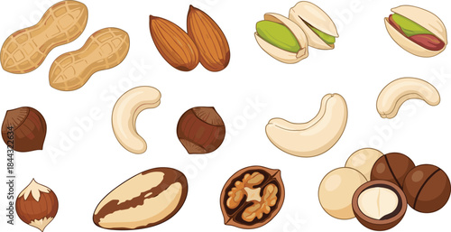 Set of Cute Cartoon Dinosaurs. Vector Illustration of Various Species Including Stegosaurus, Triceratops, and Tyrannosaurus Rex.