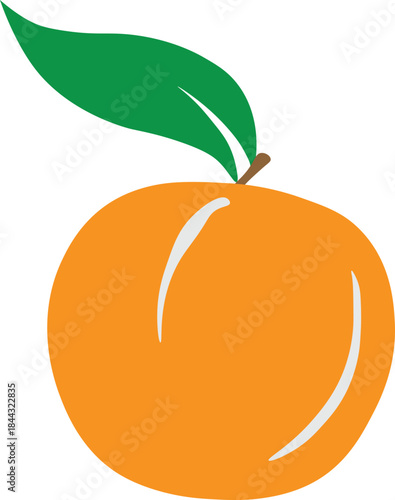 Simple illustration of an orange fruit with a green leaf and stem